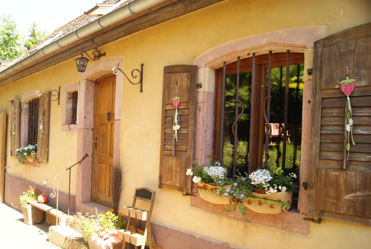 Gite Du Thalala Villa Bernardville Exterior photo